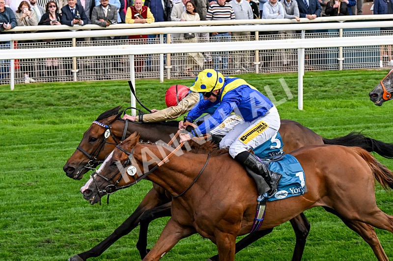 210826-Race 5-Plage De Havre-0323 - Race 5 16.10pm Assured Data Protection Handicap