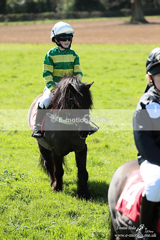 Shet 060426 371 - Shetland Pony Racing Paxford Races Easter Mon 06/04/26
