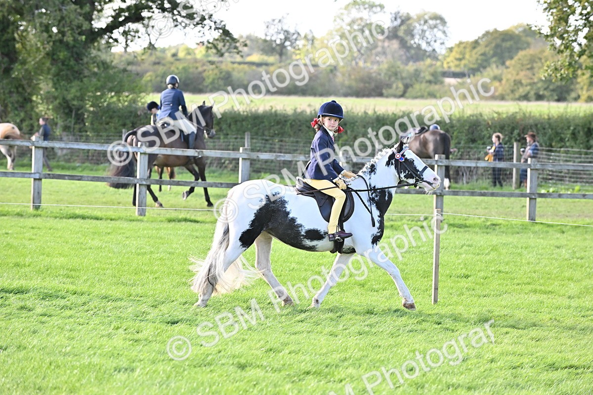 SBM_51216 - S22 - First Ridden show and show Hunter Pony