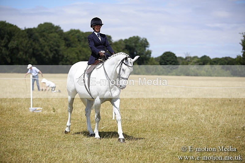 _C7A0201 - Side Saddle Classes BVRC Show 2018