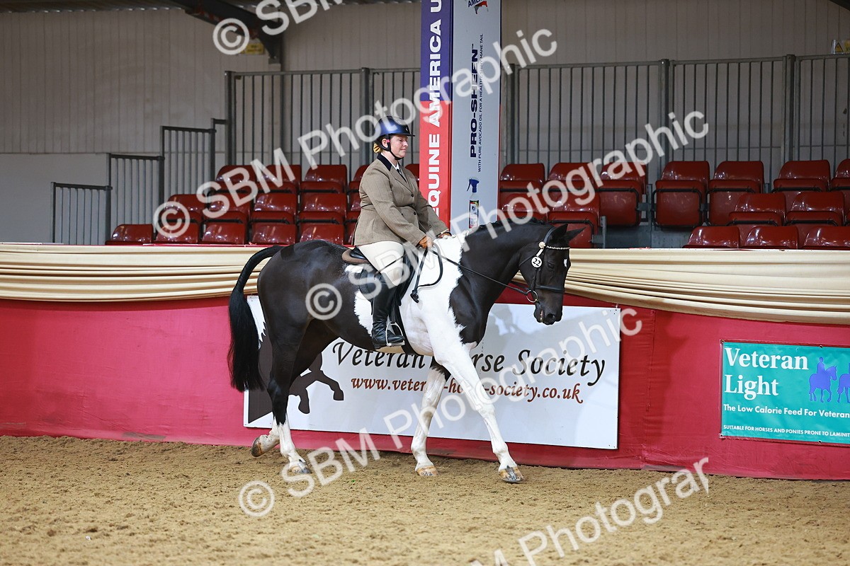 SBM_09577 - Class 102 - HOYS Veteran Qualifier - Ridden Veteran