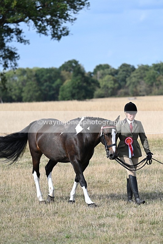 WJ7_8089 - In-hand Championship