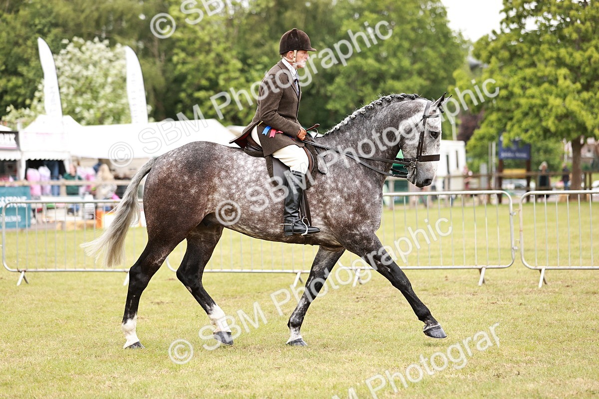 SBM_10958_Class 81-84 - RIHS Ridden Hunters inc Ladies Hunter - Valentine