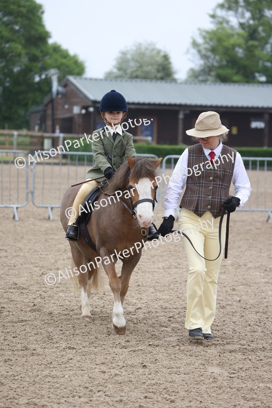 20260504-0104 - Class 9 - Lead Rein Pony