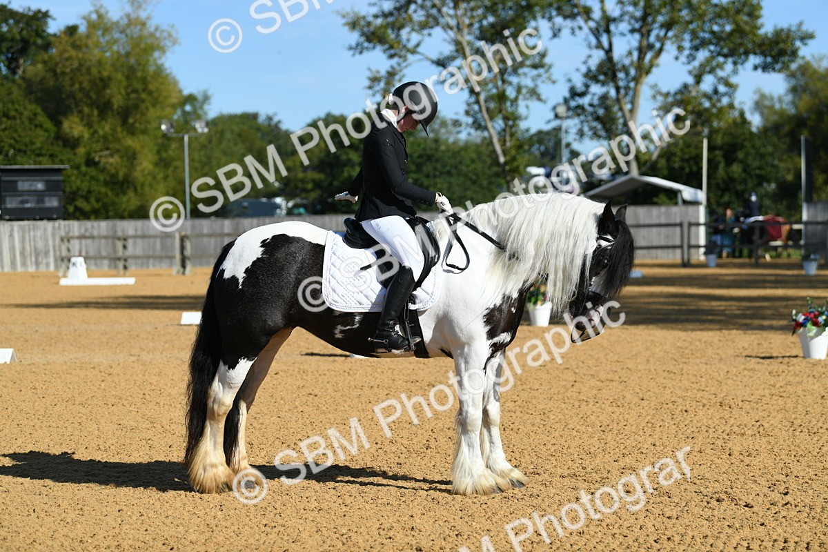 SBM_16292 - D4 - Small Tour Championship - Intro B