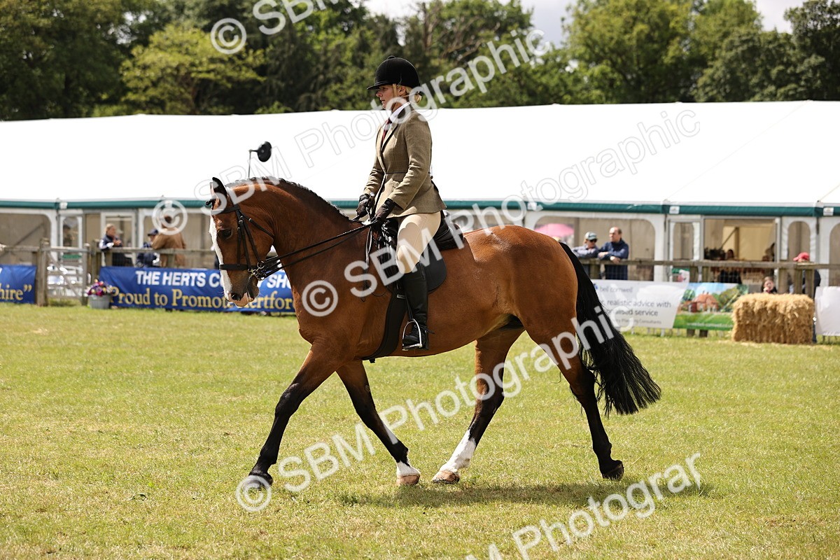 SBM_14572 - Class 88-89 - LIHS BSHA Rising Star of Ridden Hunter Type