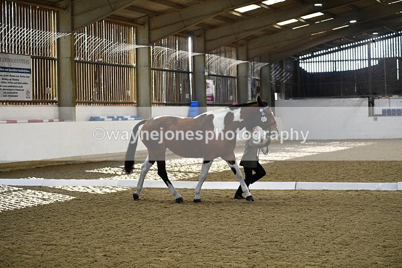 WJ5_3841 - Class 5 In Hand Veterans