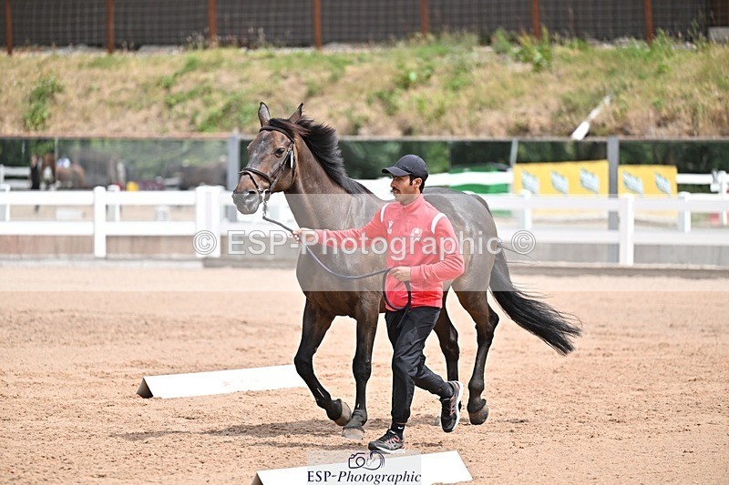 250716-132048-00445 - Trot Up 12.30 to 1.30