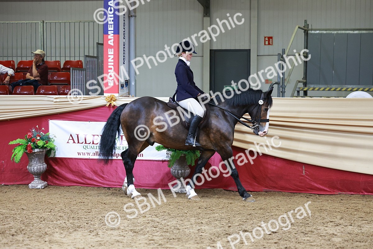 SBM_18522 - Class 952 - M&M Ridden Supreme Final