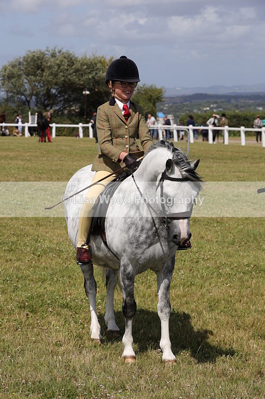 1X9A5442 - Class 37: NPS M&M First Ridden