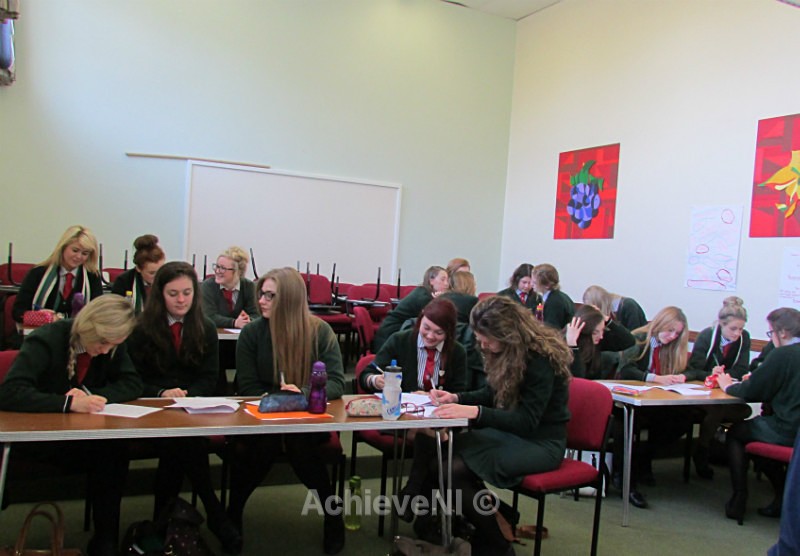  - Peer Mentoring 2014