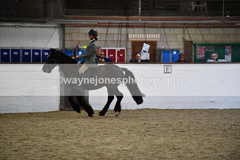 WJ5_7896 - Class 13 Ridden Part Breed