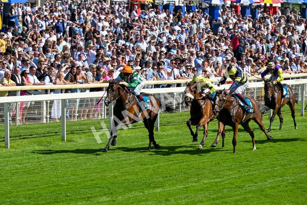 120725-Race 5-Amazing Journey-0405 - Race 5 4.15pm John Smith's Nursery Handicap