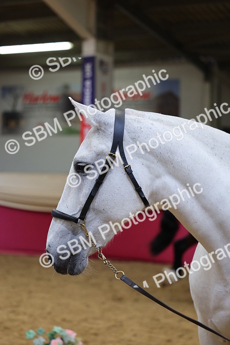 SBM_22699 - Class 903 - Supreme Final - IH Pre Vet