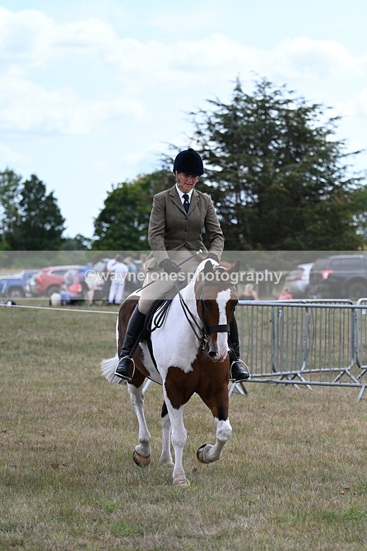 WJ7_5180 - Class 12 Ridden Cob