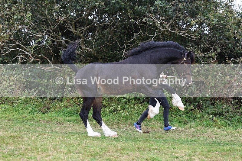 3E7A4123 - Class 15: Two Year Olds