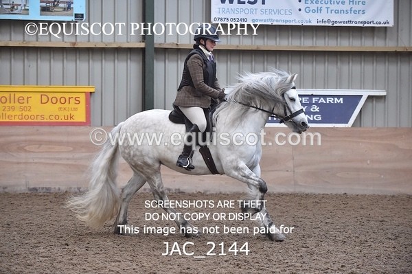 JAC_2144 - CLASS 1 Nursery Novice Working Hunter