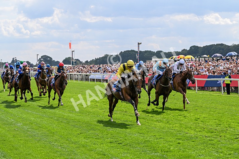 220826-Race 2-Infraad-9779 - Race 2 14.25pm Sky Bet Melrose Handicap