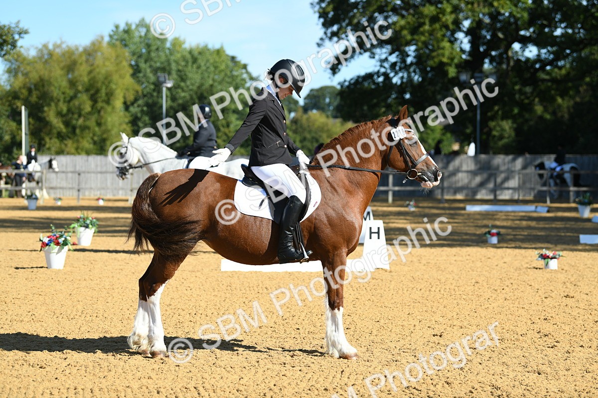 SBM_18045 - D4 - Small Tour Championship - Intro B