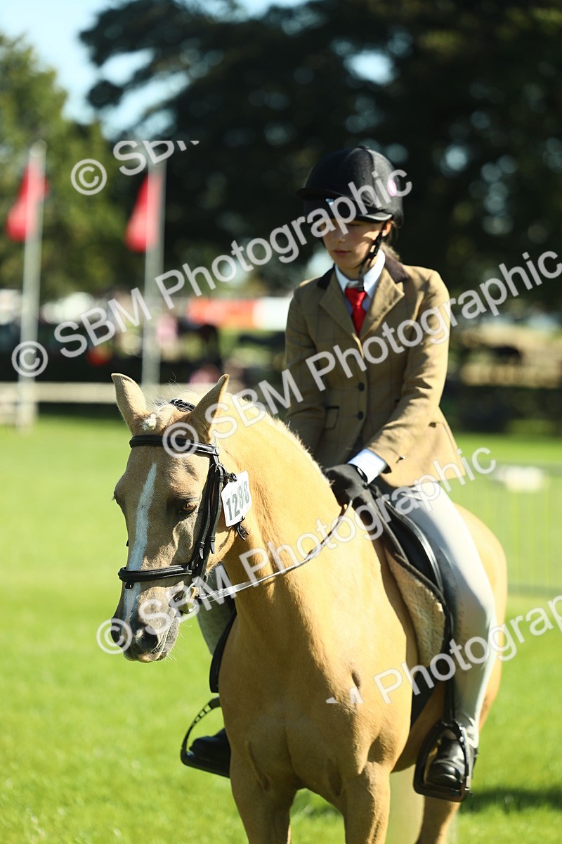 SBM_39045 - S29 - Novice & Newcomers Working Hunter Pony