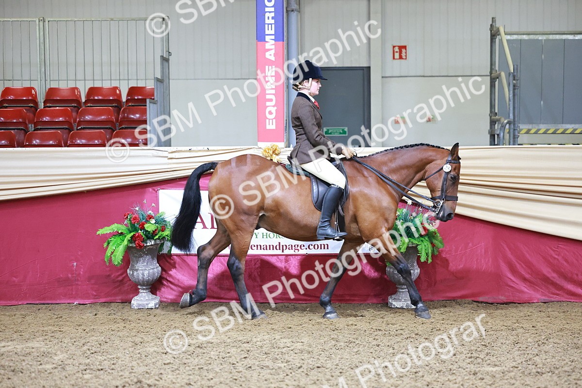 SBM_11784 - Class 102 - Equitation (Best Rider) Adult