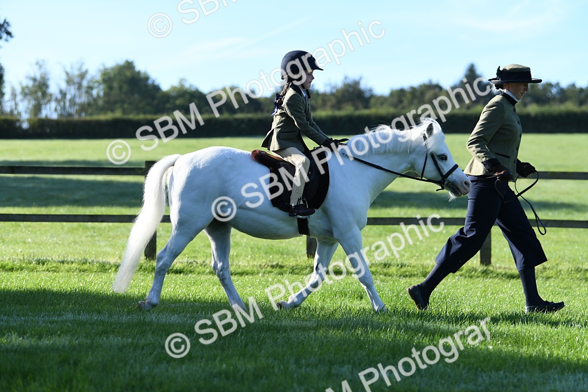 SBM_35376 - S17 - Condition & Turnout - Lead Rein