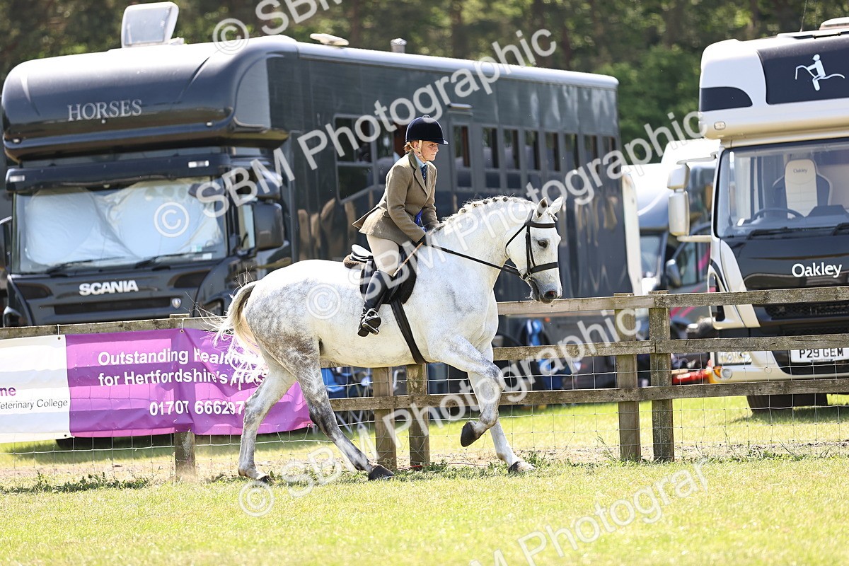 SBM_16221 - Class 79-80 - LIHS BSHA Rising Star Ridden Hunter