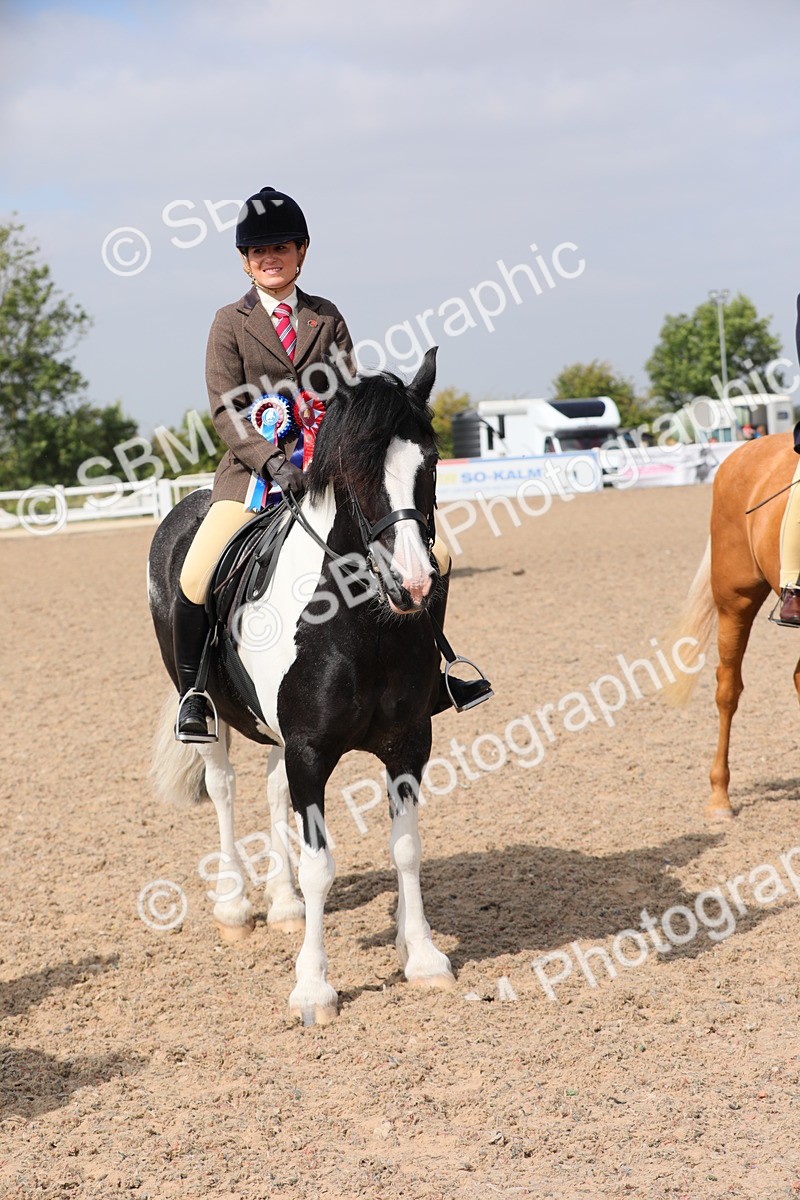 SBM_12852 - Class 307 Ridden Coloured Pony
