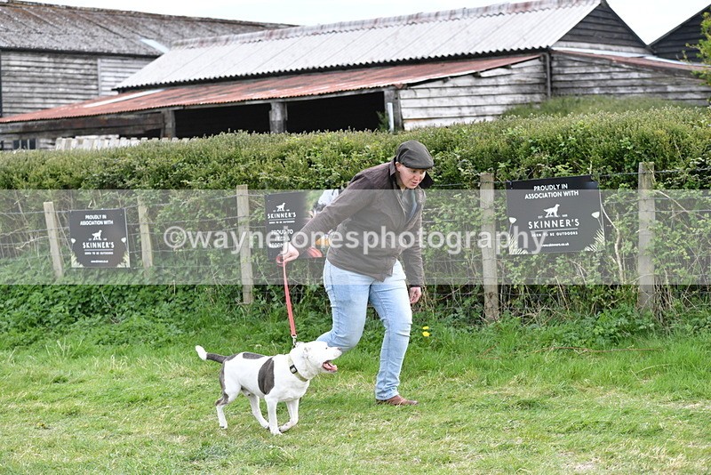 WJ5_9961 - Class 5 Best Veteran / 7 years & over