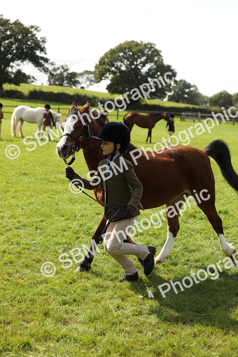 SBM_67776 - S39 - Junior Handler 8  Years & Under