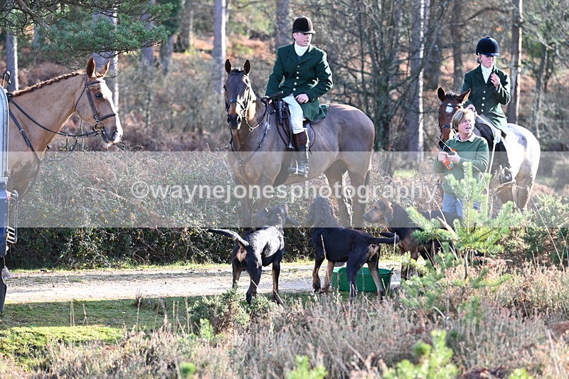 WJ7_7448 - Line 3 (no line 4 or 5)