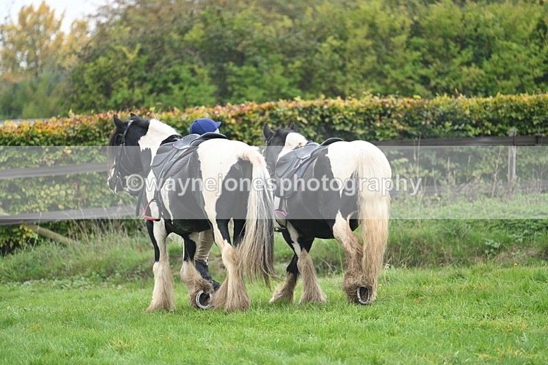 WJ7_2950 - Afew at the end ...