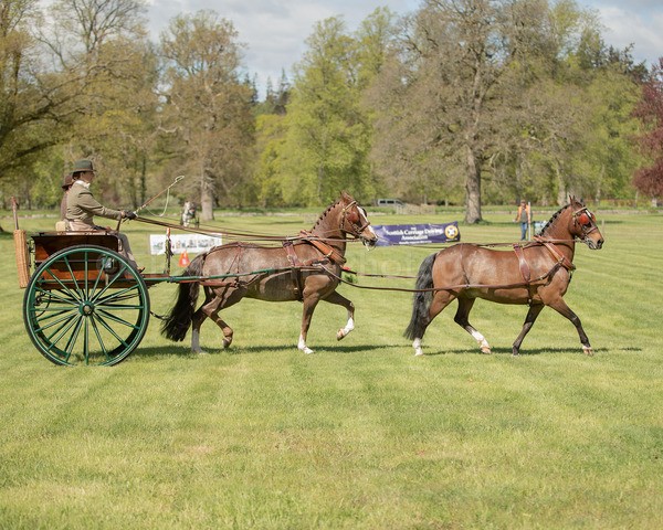 Attelage -761 - CIAT Glamis 2026