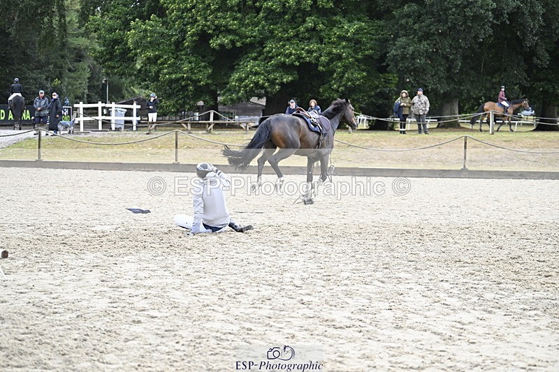 250830A-183008-08544 - Cls 25 1.05m Amateur Quali and Open