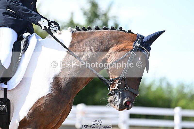 240816A-144513-05482 - 208-Sophie.Savage-Two.Tone.Ted