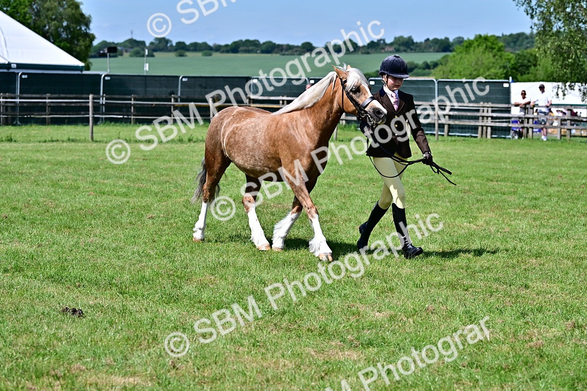 SBM_08058 - Class 61-62 - TSR  M&M Ridden Amateur of the Year