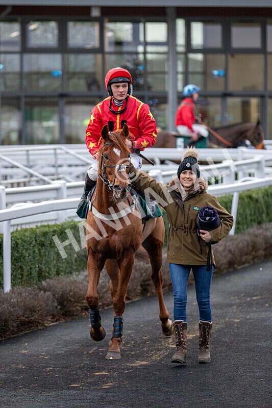 171224-Race 4-Wise Eagle-0217 - Race 4