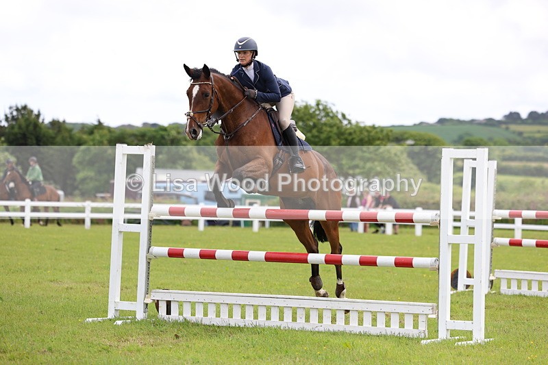 3E7A7129 - Class 12: Senior Foxhunter/1.20 open