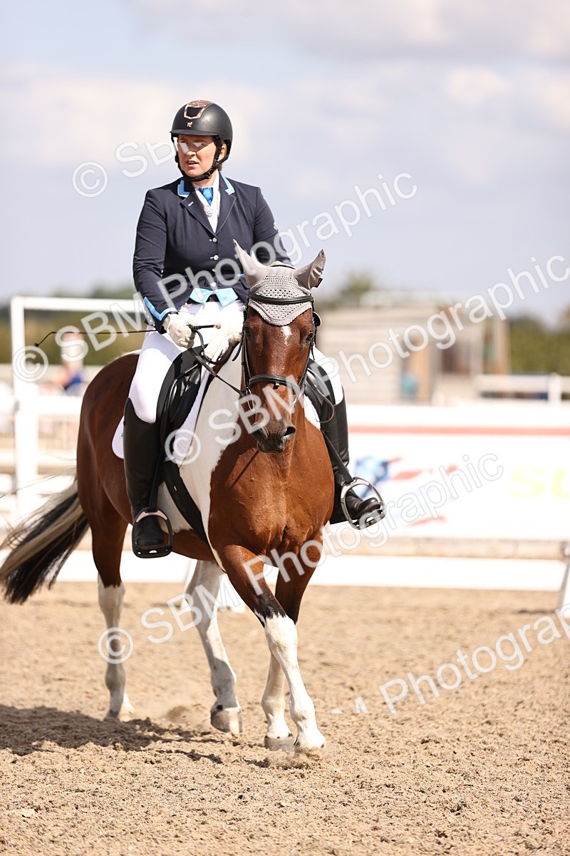 SBM_03710 - CLass 35 Intro 3