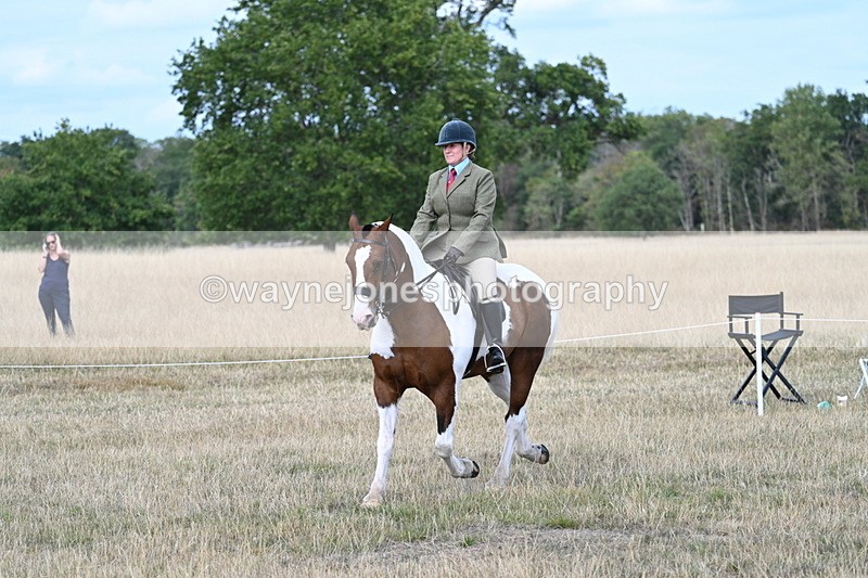 WJ7_7176 - Class 14 Ridden Coloured