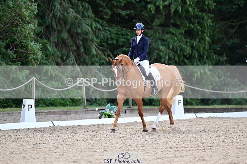 260731A-105756-00162 - Elementary Bronze 10.30 - Break