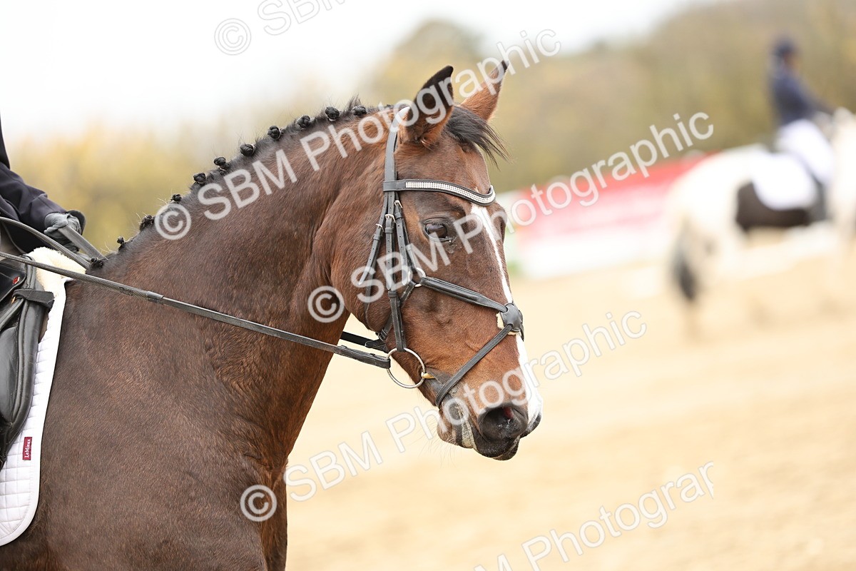 SBM_003009 - Class 8 - Novice 1