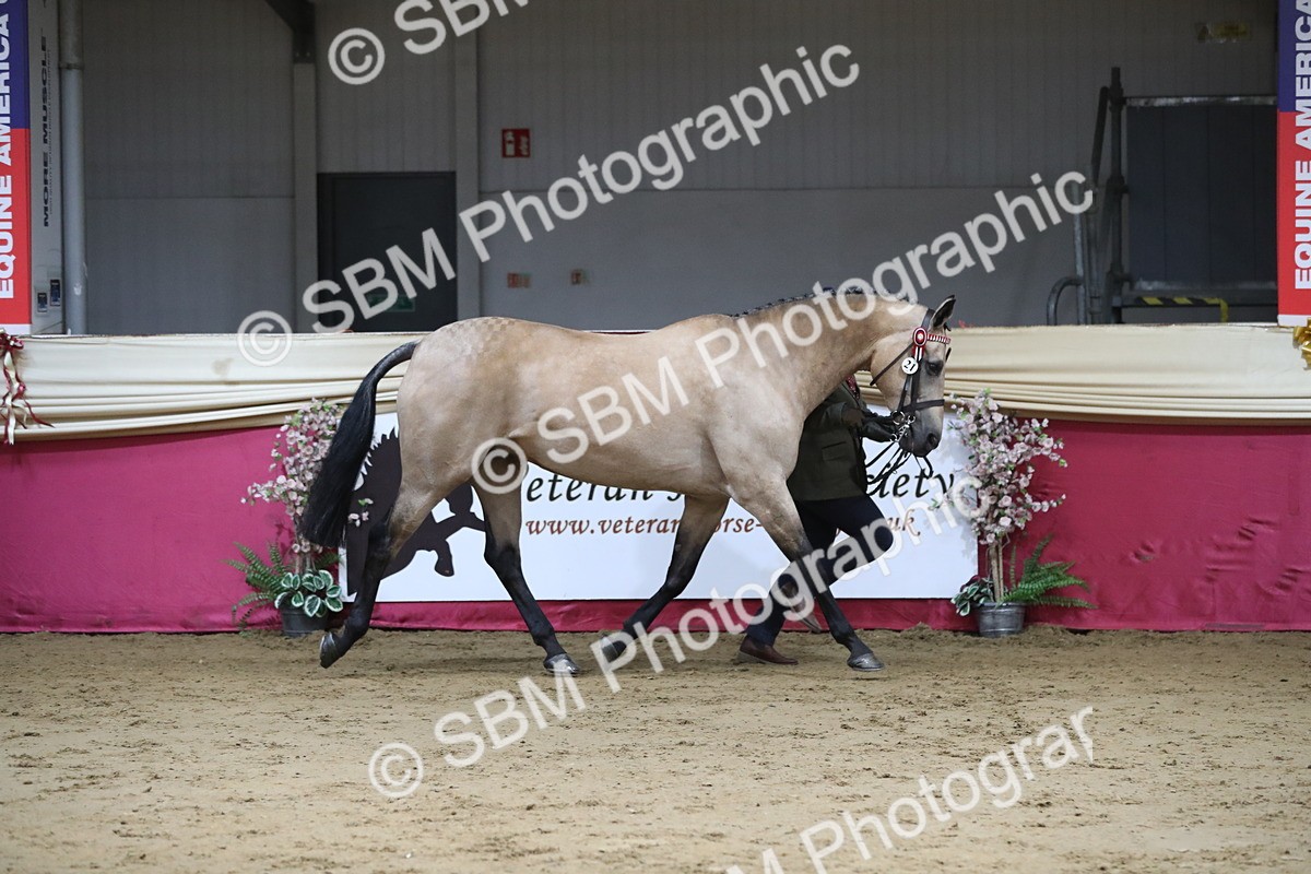 SBM_05012 - Class 8R- Regional -IH Veteran