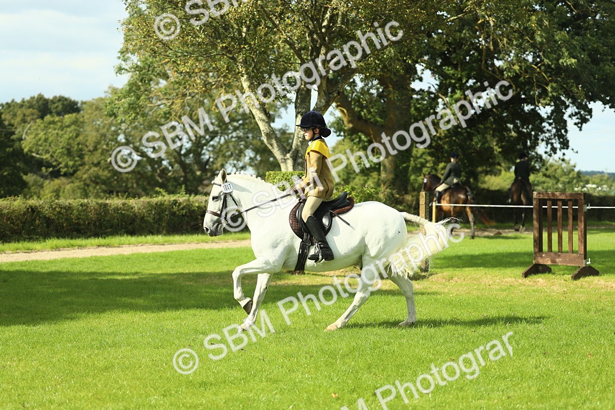 SBM_45045 - Working Hunter Pony Supreme Championship