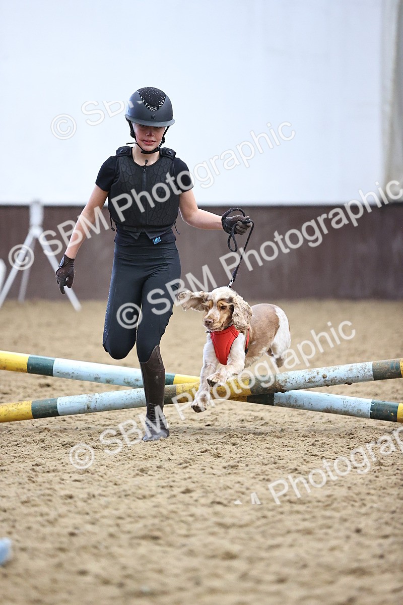 SBM_001347 - Class 3 - Horse & Hound 60cm