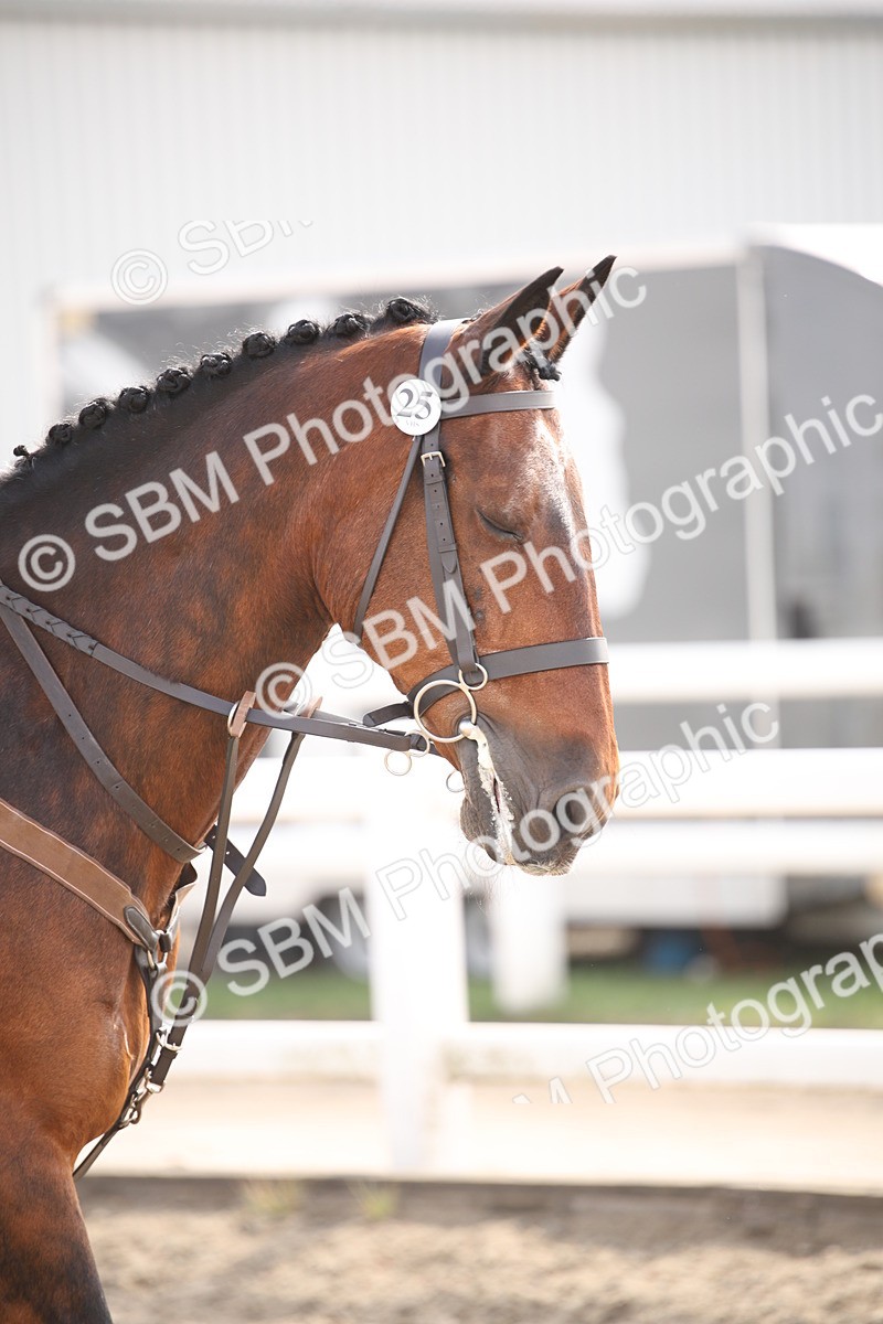 SBM_14362 - Class 407b - Working Veteran 60cm (20+)