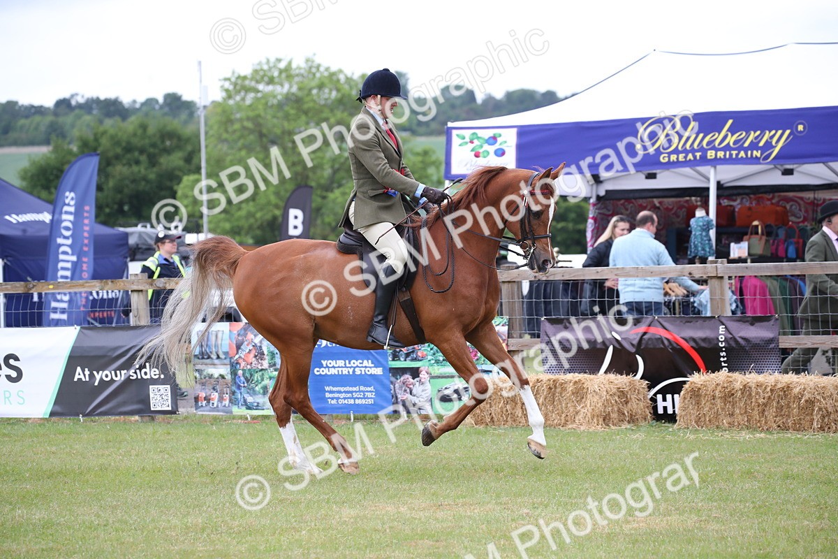 SBM_03658 - Class 21 - 22 - Ridden Arab and Part Bred/Anglo Arab