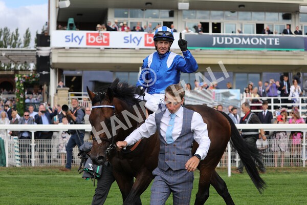 yr17082022r4-116 - Race 4 3.35pm Juddmonte International Stakes (British Champions Series Race)