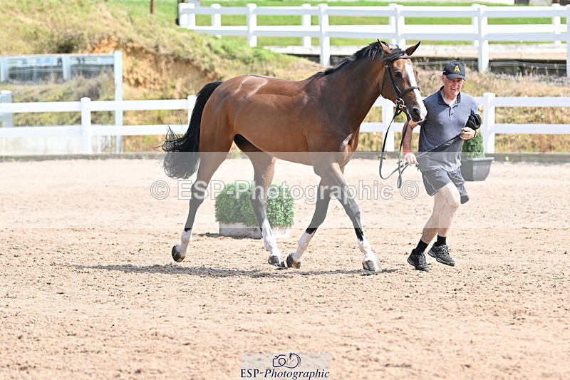 240717A-153500-02899 - Trot Up 3pm to 4pm