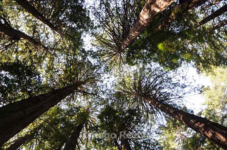  - Landscape & Rivers